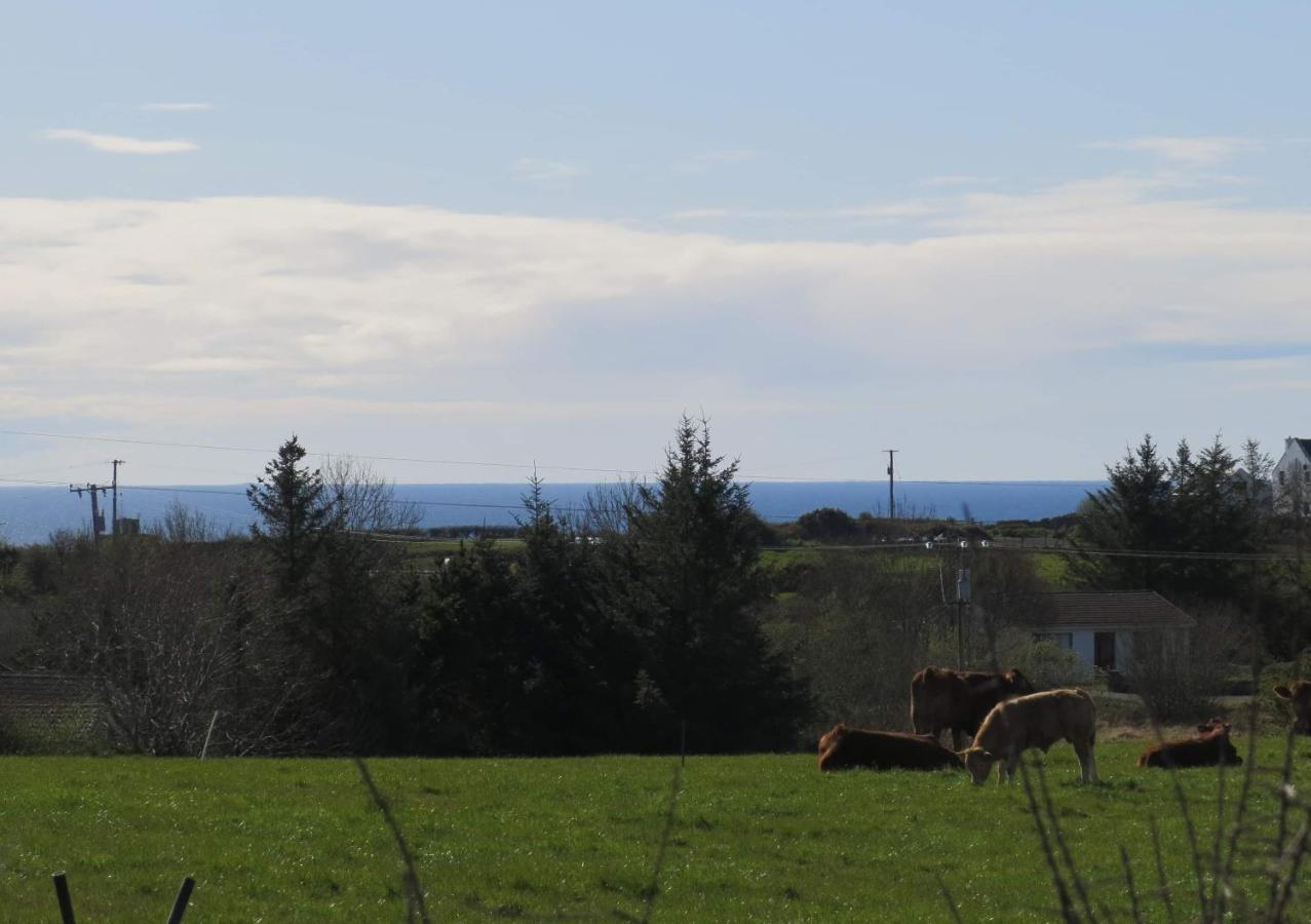Farm Stay Property Pets And Families Welcome Rossnowlagh Eksteriør bilde