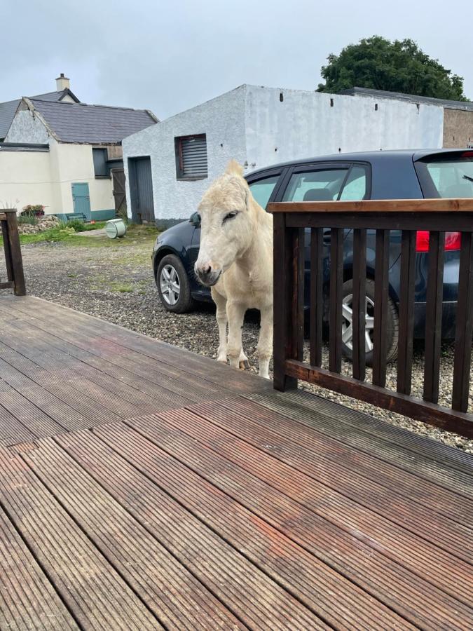 Farm Stay Property Pets And Families Welcome Rossnowlagh Eksteriør bilde