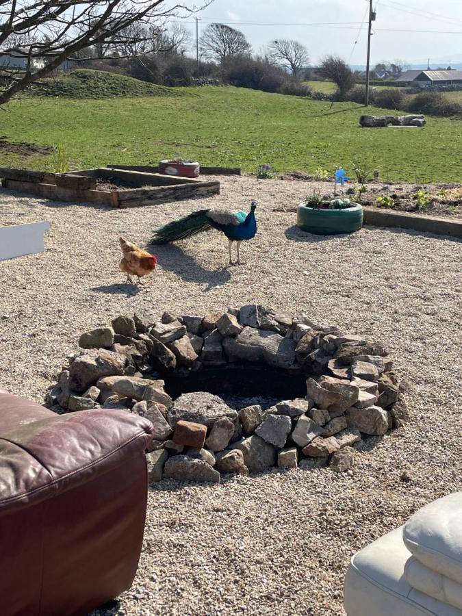 Farm Stay Property Pets And Families Welcome Rossnowlagh Eksteriør bilde