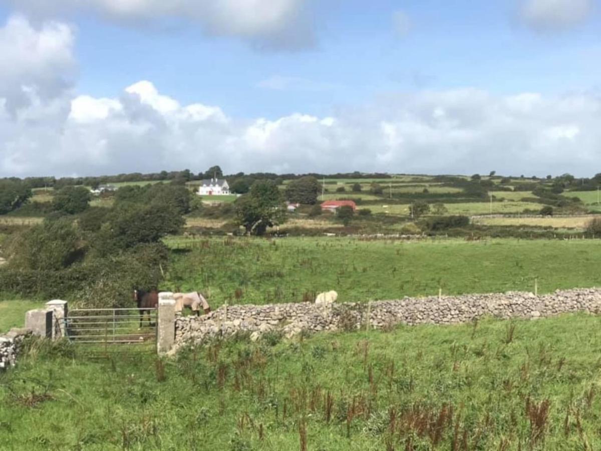 Farm Stay Property Pets And Families Welcome Rossnowlagh Eksteriør bilde